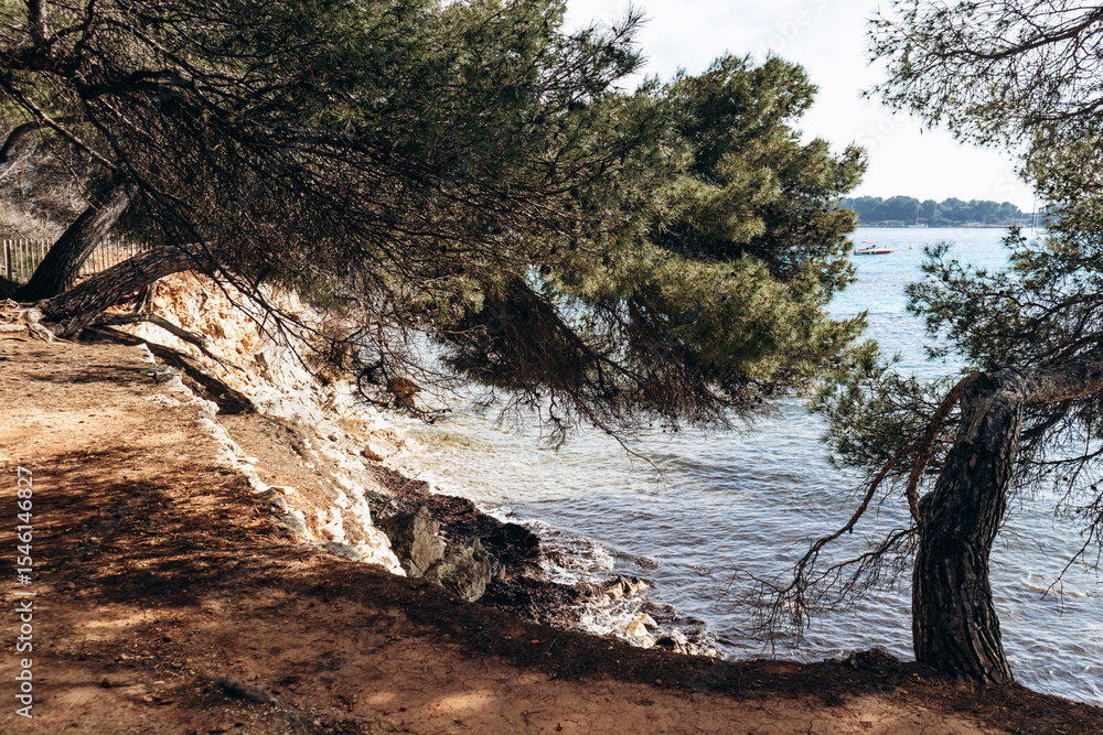Scenic coastal landscapes of Sainte-Marguerite Island with pine trees, rocky shore, and turquoise sea. Scenic coastal landscapes of Sainte-Marguerite Island with pine trees, rocky shore, and turquoise sea.