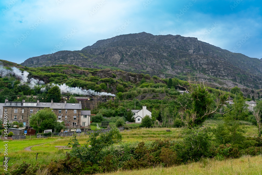 Fototapeta premium steam trains in snowdonia Wales