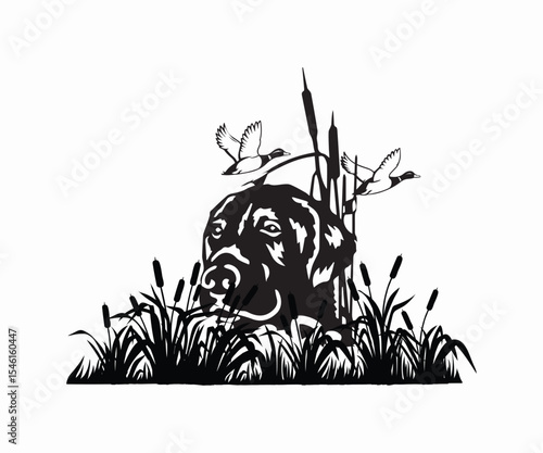 dog in cattails duck hunting vector illustration, duck hunting vector art