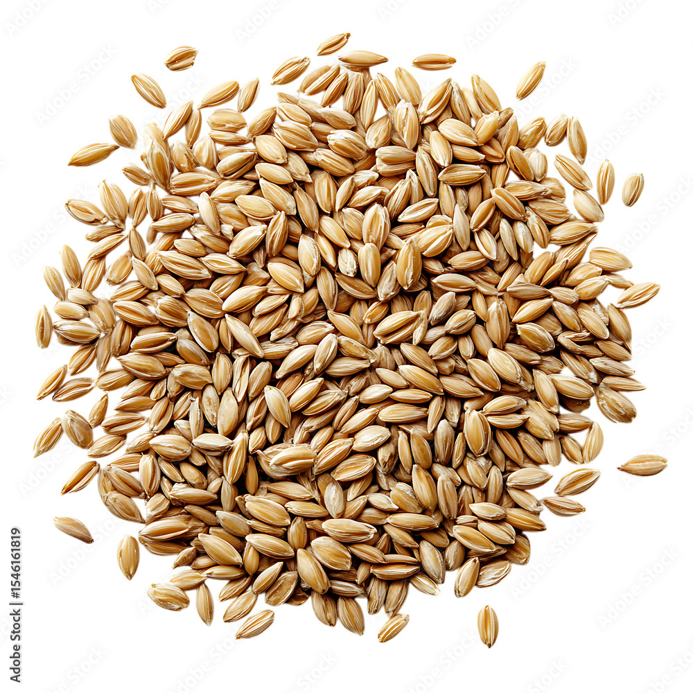 Obraz premium Heap of dry barley grains, nutritional ingredient on transparent background