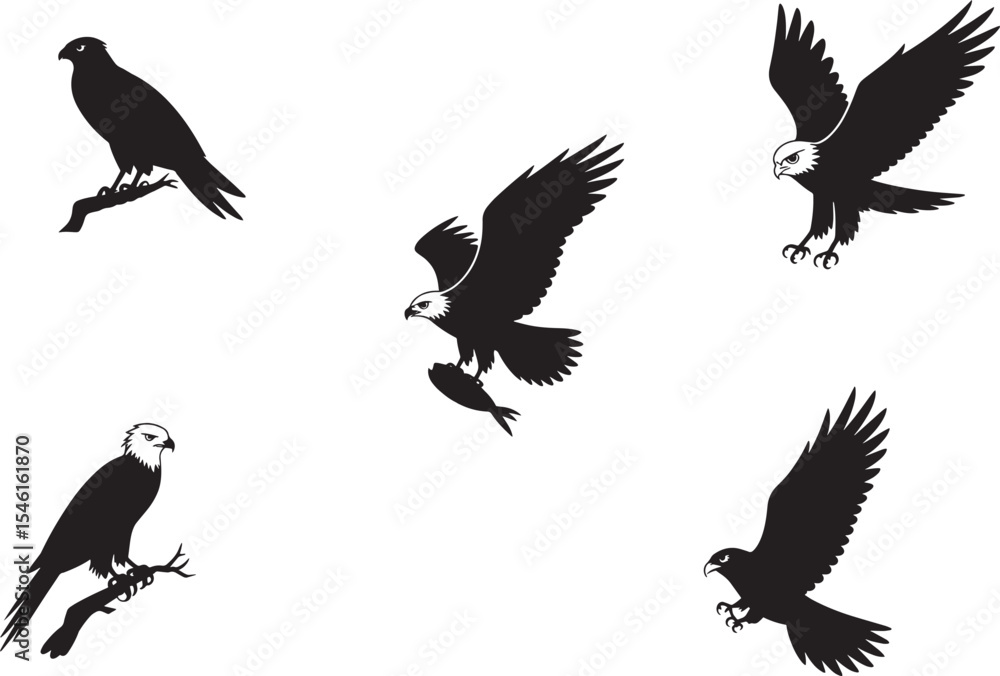 Obraz premium Five Black Silhouettes of Eagles and Hawks Perched and in Flight Carrying Fish bird