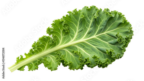 Fotografia Kale leaf isolated on transparent background