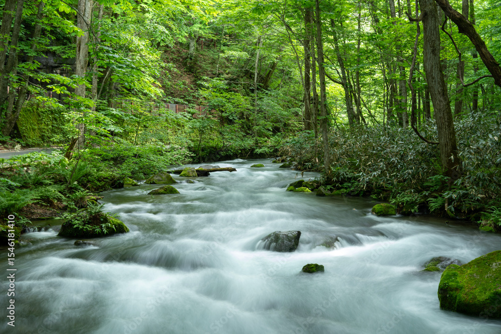 Obraz premium 新緑の奥入瀬渓流