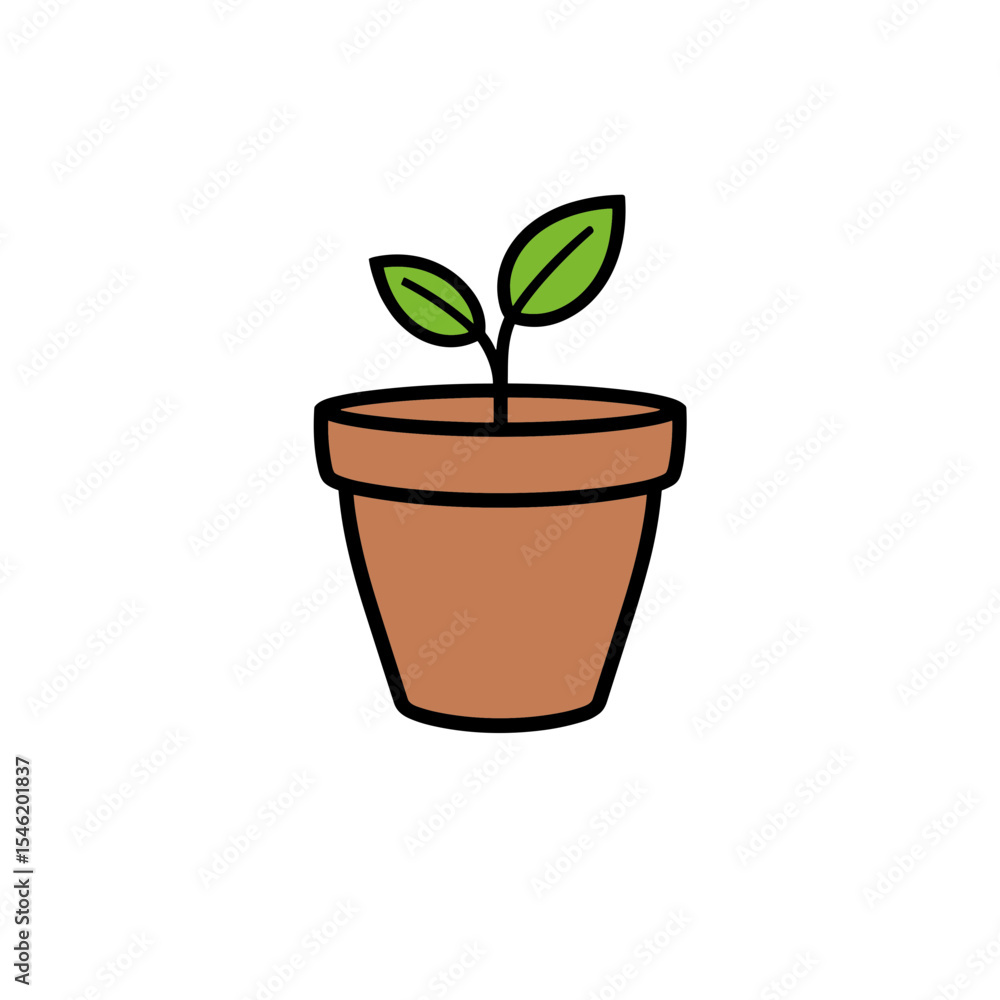 Potted plant with green leaves in a simple terracotta pot Potted plant with green leaves in a simple terracotta pot