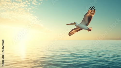Pelican in flight over calm water at sunrise.