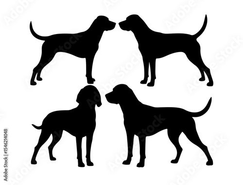 Vector image of Alaskan Klee Kai in silhouette on white background.