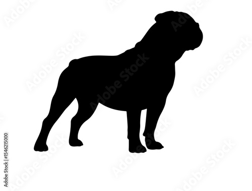 A black image of Airedale Terrier silhouette white background image vector.