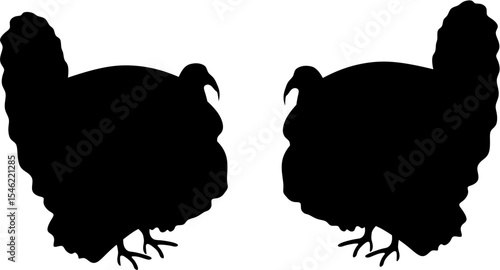 background ilustration Turkey