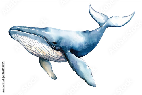 Whale watercolor vector illustration, underwater ocean animal art isolated on white background