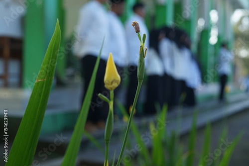 Yellow Flower Bud Blooming in Front of Students in White Uniforms