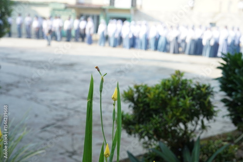 Solitary Yellow Flower in Foreground with Blurred School Crowd Background