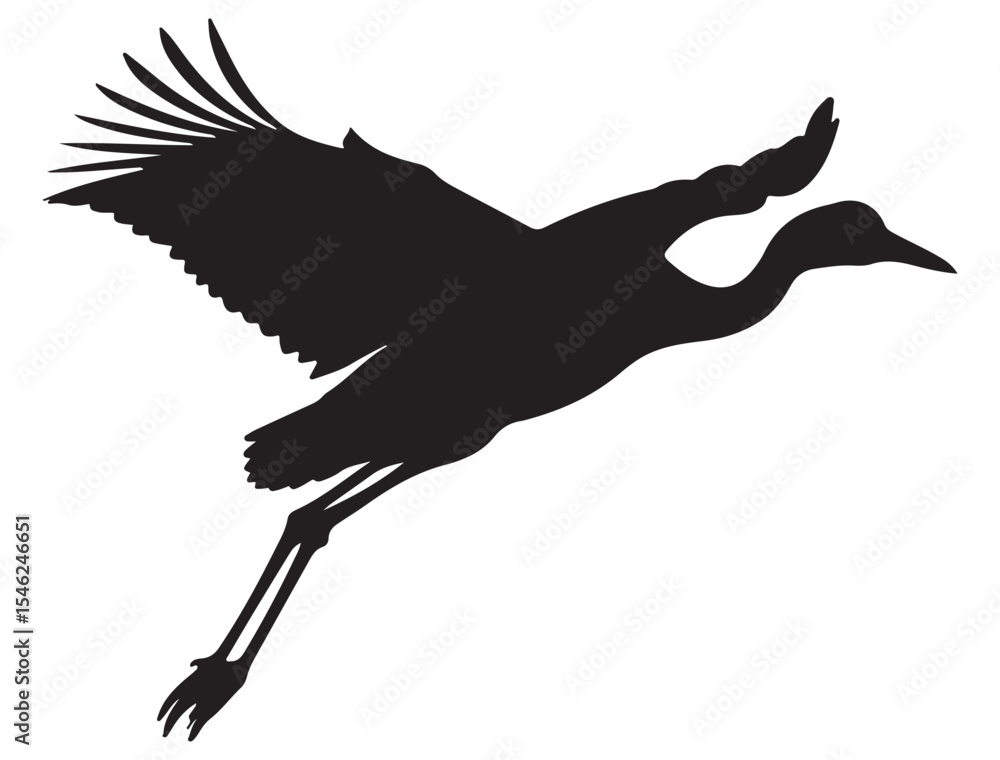 Obraz premium AUSTRALIAN CRANE BIRD SILHOUETTE