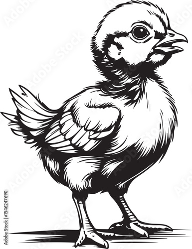 Adorable chick, ready to discover the world:A beautifully crafted illustration of a cheerful little chick standing in profile, capturing its innocent curiosity and gentle nature.