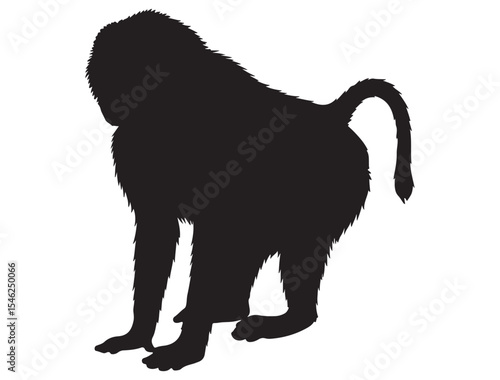 BABOON SILHOUETTE