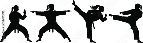PrinMartial arts female silhouette, karate kick pose, woman practicing martial arts, taekwondo pose illustration, black belt training actio