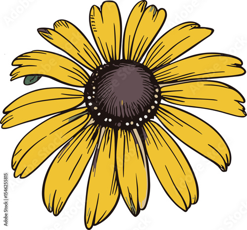 Yellow Wildflower with Dark Center – Botanical Illustration with Green Stem and Leaves