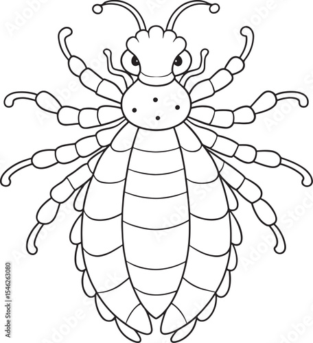 A simple vector drawing of a louse an insect parasite pediculus for education biology health