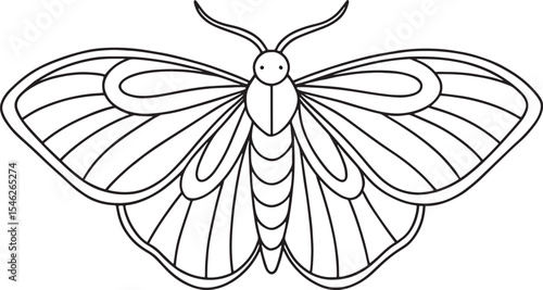 Moth preschool coloring sheet for children