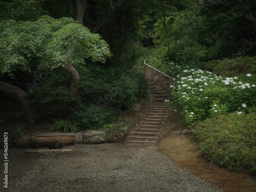 Japanese landscape during the rainy season