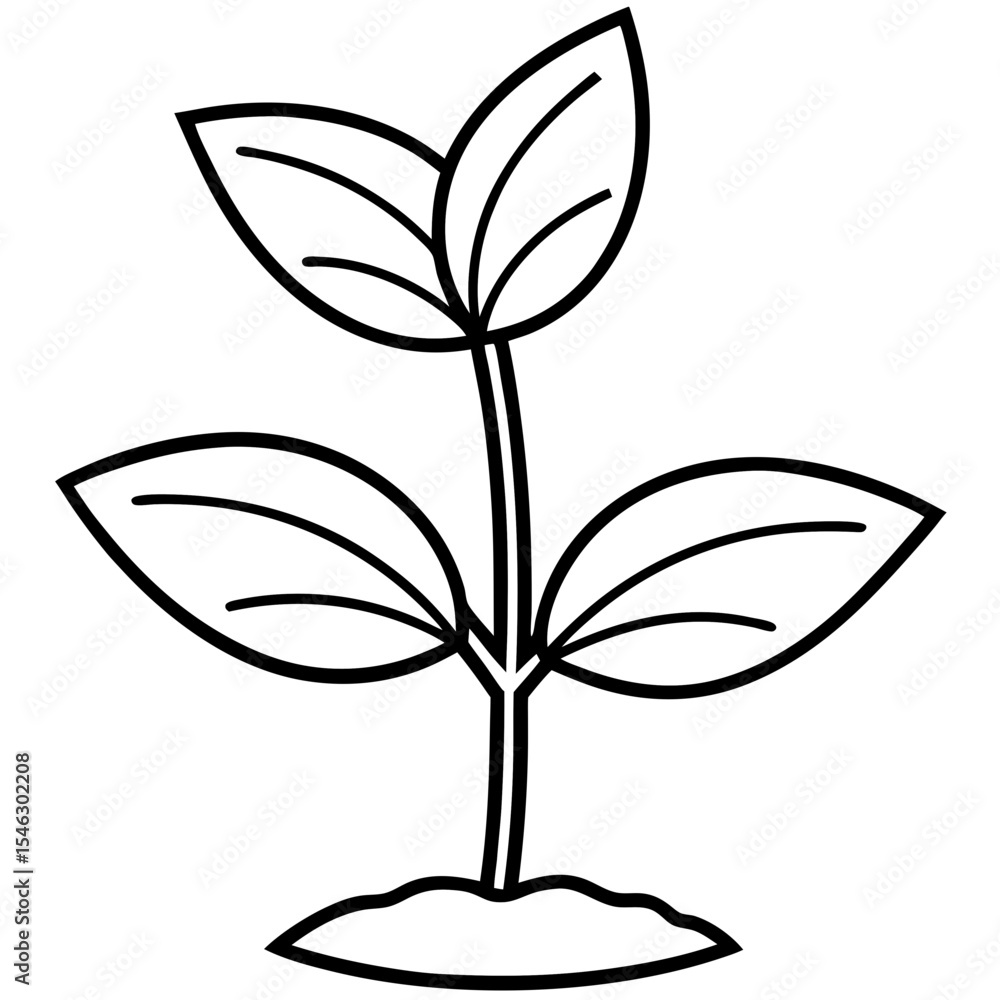 Spring Sprout Line Art Vector Spring Sprout Line Art Vector