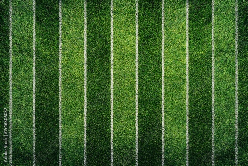 Aerial view of green grass field with multiple white lines