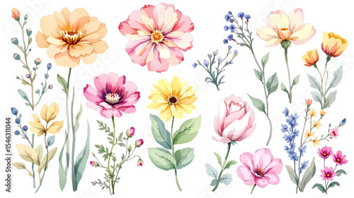 Wallpaper Mural Spring flowers collage, Watercolor floral background, set of floral elements Torontodigital.ca