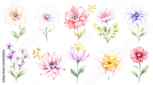 Wallpaper Mural Watercolor floral background, set of floral elements Torontodigital.ca