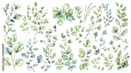 Set green floral background