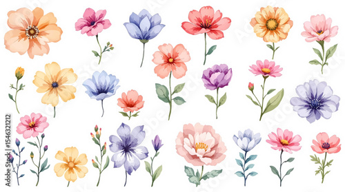 Watercolor flowers background