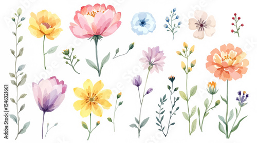 Set of spring flowers, set of flowers, Colorful spring flowers, Set of watercolor flowers, Clipart watercolor flowers	