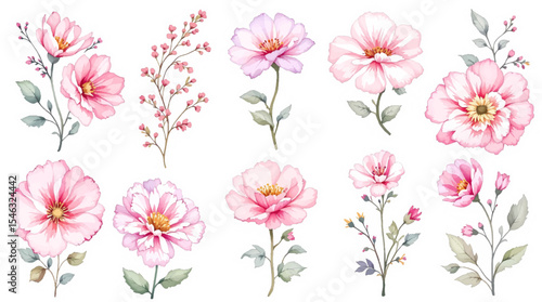 Wallpaper Mural Set floral background with flowers Torontodigital.ca