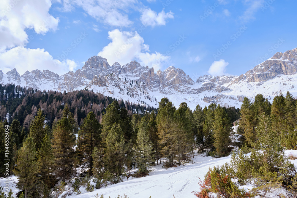 Obraz premium March 2025: View of the Rosegarden from the Vajolet valley, Catinaccio and Gardeccia, Trentino, Italy, Europe.