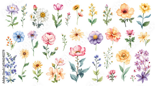 Wallpaper Mural Set of spring flowers, Colorful spring flowers, Set of watercolor flowers, Clipart watercolor flowers	 Torontodigital.ca
