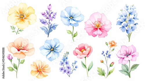 Set of spring flowers, Colorful spring flowers, Set of watercolor flowers, Clipart watercolor flowers	