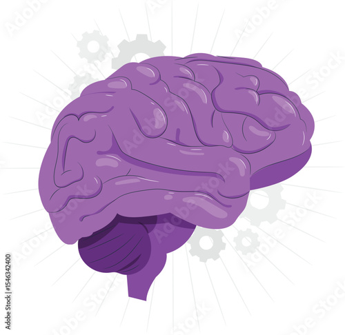 Vector illlustrations