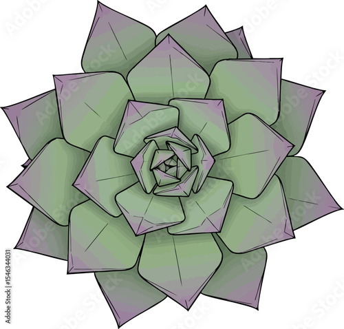 Origami Succulent (Echeveria)