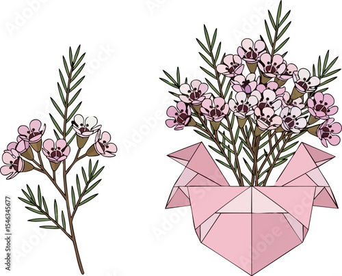 Waxflower Sprig