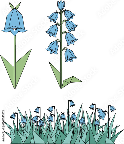 Bluebell Collection
