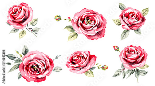 set of roses