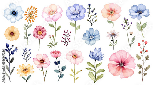 Set of watercolor flowers