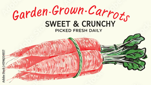Illustration of three carrots tied together with green tops and text above them on a light background