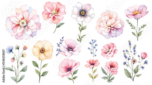 Wallpaper Mural Set of watercolor flowers, set of flowers Torontodigital.ca