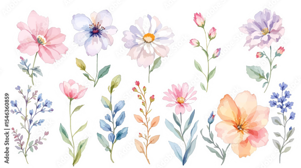 Set of watercolor flowers, set of flowers Set of watercolor flowers, set of flowers