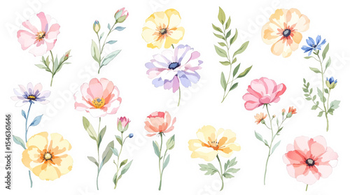 Set of watercolor flowers, set of flowers