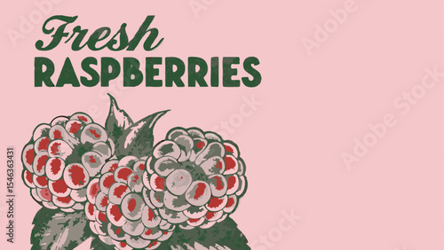 Illustration of fresh raspberries with green leaves and text on a pink background in a vintage style design