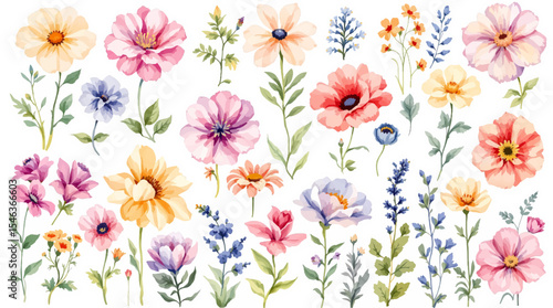 Set of spring flowers watercolor, set of colorful flowers