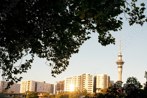 Foto Auckland Skyline Peeking Through Lush Green Trees