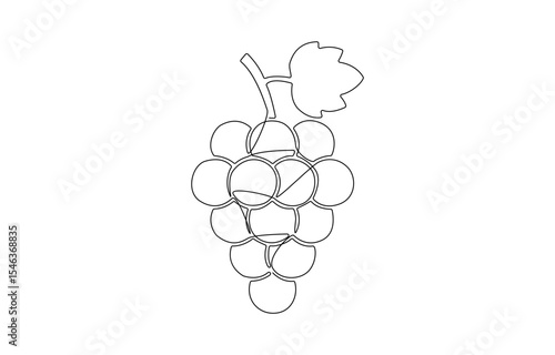 Continuous Line Drawing Of Grapes On A Transparent background, Vector illustration of grape isolated on white background. For kids coloring book, Grape continuous one line drawing.