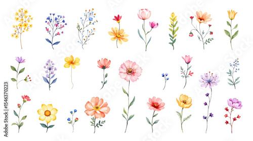 Set bouquet of flowers watrecolor