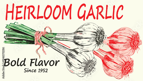 Illustration of heirloom garlic bulbs tied together with green stems and pink ribbon with bold flavor text